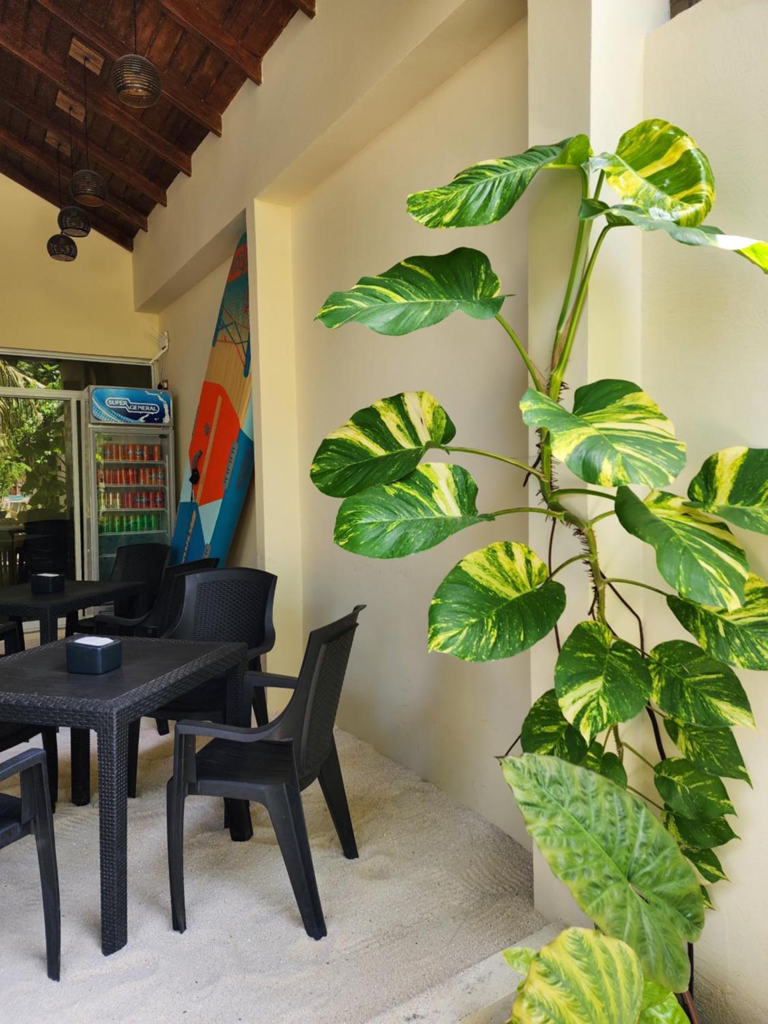 Готель Dhigurah Dhonveli Boutique Екстер'єр фото